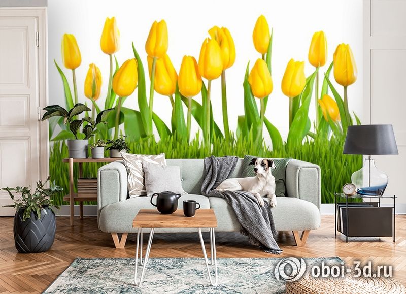 3D Фотообои «Желтые тюльпаны» - купить в Москве, цена в Интернет-магазине Обои 3D